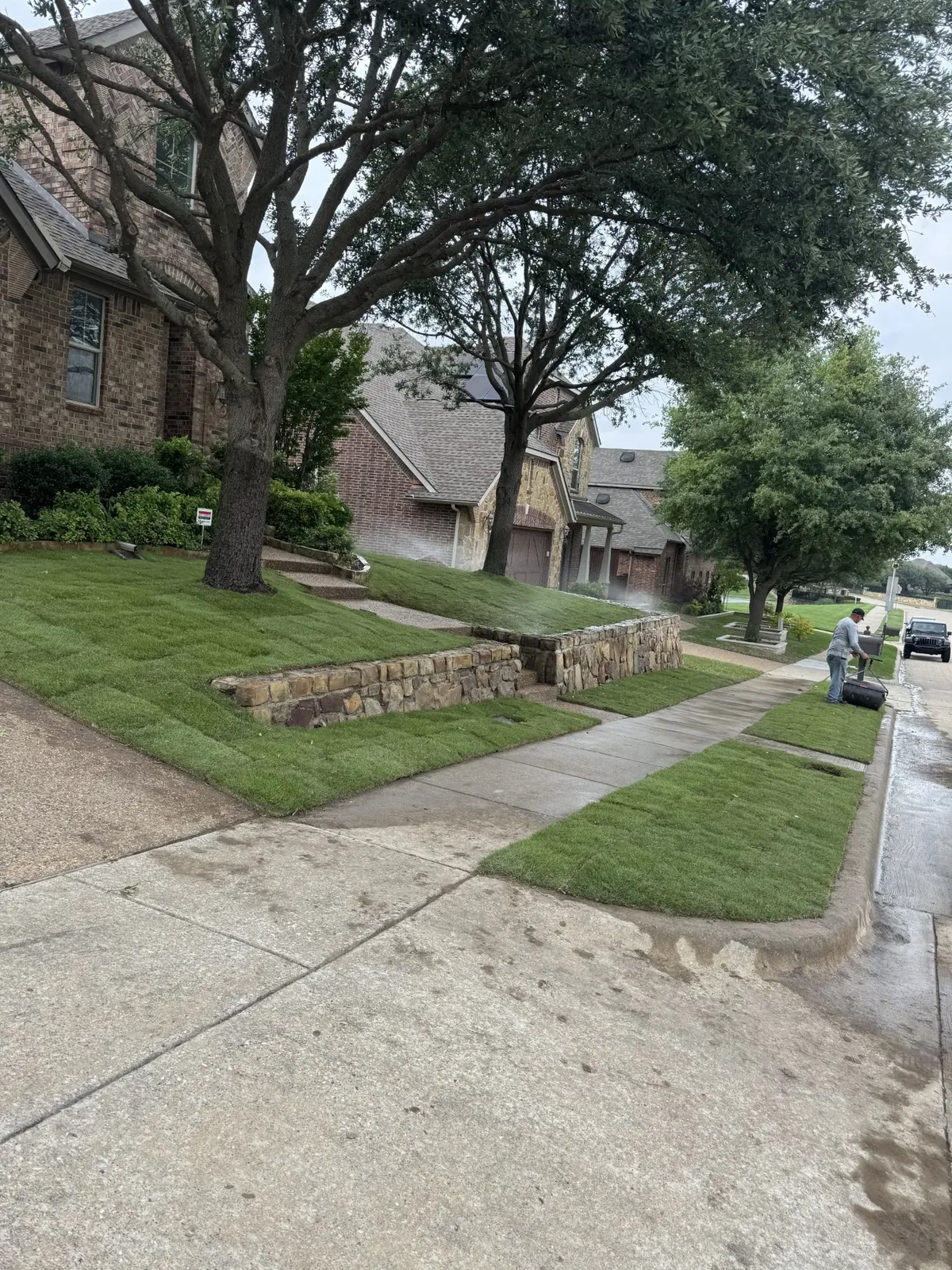 Fresh sod installed on a tiered front yard with stone retaining wall, irrigation running, Godoy's Wolves